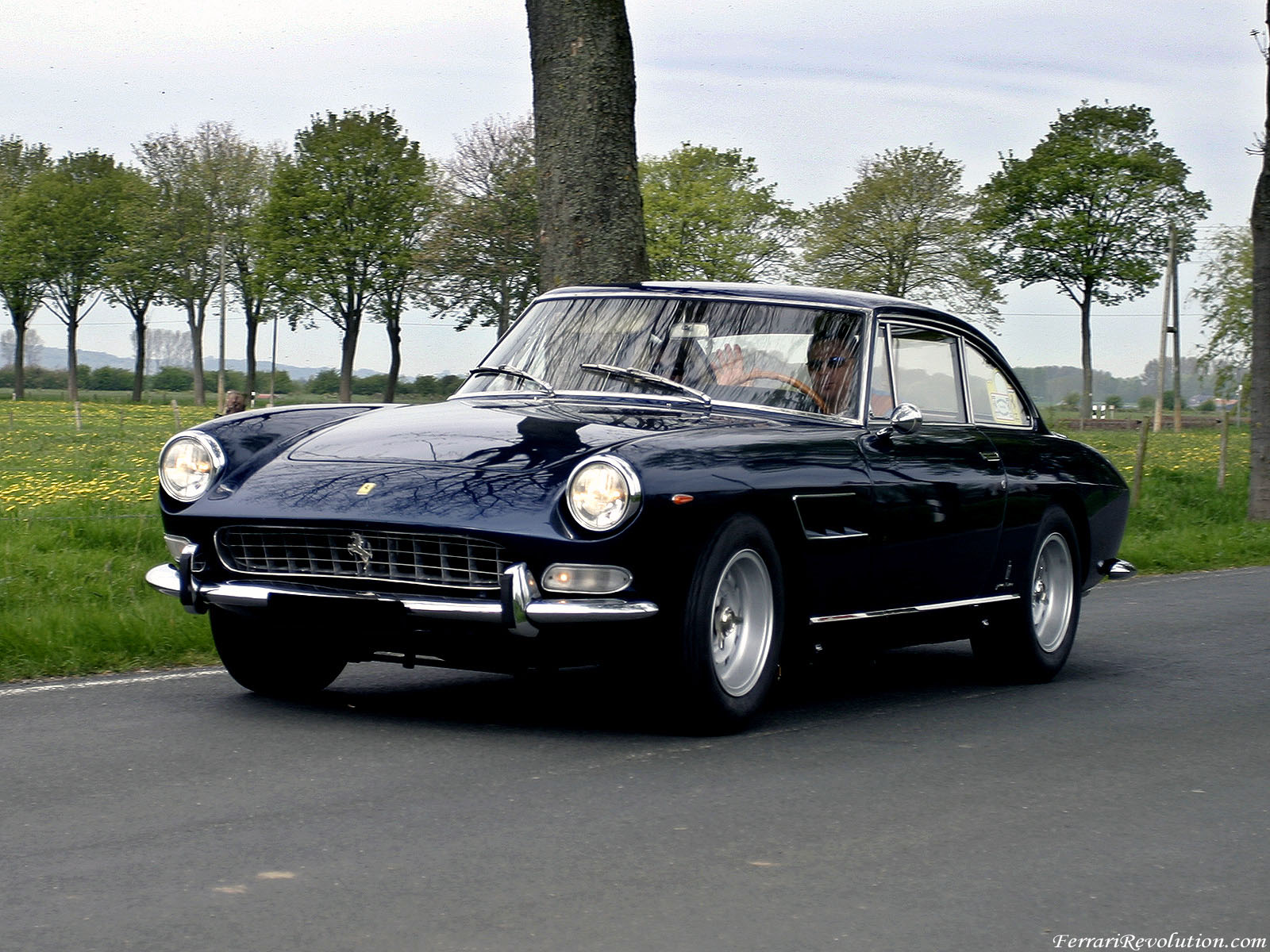 DNF04_175_Ferrari-330-GT-2+2-Serie-2.jpg